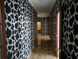 3-�������, �������� ����., 11, ����������� ���� 5