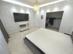 1-, 볿  . ( ), 58,   8