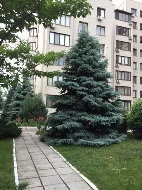 4-����. �������� �� ��. ��������, ����������� ���� 1
