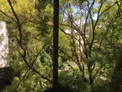 �������� 1� �������� �� ���������������� ���� 5