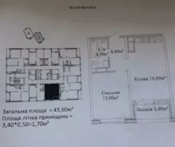 1� �������� � �� '���� ����'. ������ ����. ��� ���� ���� 1