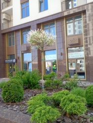 Продається 3 кімннатна квартира Перлина 67 фото 9 Продається 3 кімннатна квартира Перлина 67 фото 9