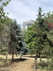 �� �������� 12 ���� ���� 6