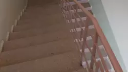 ���������� ������ ���������� ���� 6