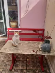 ������ 3-������� �������� ���� 19
