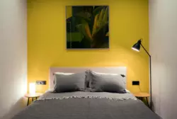 ���� ����� 3 �������� ������� . ��� �� ���� ���� 3