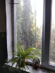 ��������� 3-� ��������� �������� ���� 18