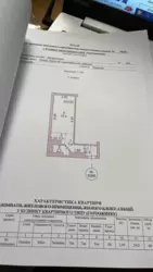 ������ ������ �����-�������� ���� 17