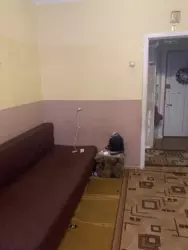 ������ 2 ��������� �������� ������������ �������� ���� 4