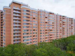 ������ 2� �������� �� Real Park ���� 5