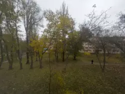 ������ ���� ��������� �������� ���� 1