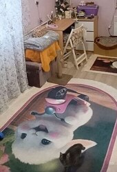 ���������� �������� 2 ������� ���� 2