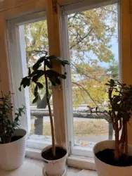 �������� � ������� � �������� ���� 13