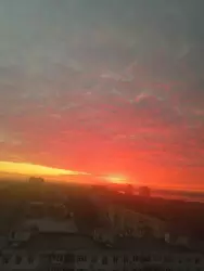 1-����. �������� �� �������� ���� 1