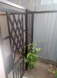 ������ �������� ���� 12