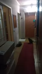 ������ 3-� ����.�������� ���� 6