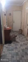 ������ 3-� �������� ���� 6