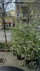 Продам блок в квартире фото 2 Продам блок в квартире фото 2