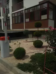 ����� �������� �� �������� ���� 10