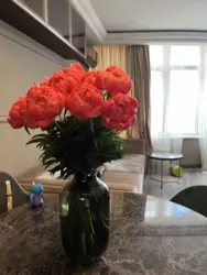 1-����. �������� �� ��������, 44 ���������, ������� ���� 16