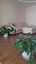 ������ 3-� ��������� �������� � ����������� ���� 12