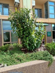 ��������� 2 ������� �������� � ������� 66. ���� 2