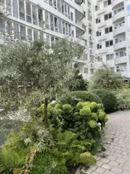 1-������� �������� �� ������. ���� 11