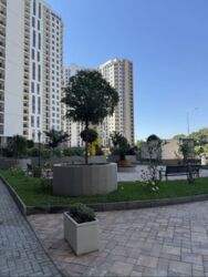 ���������� �������� � Kadorr City �� �������� ���� 1