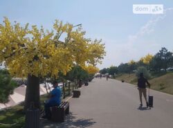������ 1� �������� 44 ��. � ���� 7