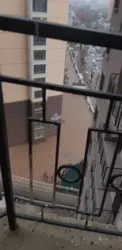 ������ �������� � �� ����� ���� 7