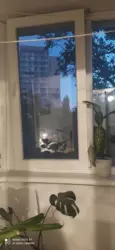 ������ 3-� �������� ���� 3