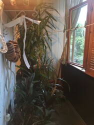 ��������� 2-������ 3� �������� � ���������� | �������� �������� ���� 9