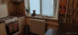 3� ����. �������� �������� �-� ���� 3