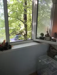 ������ 1 ����. �������� ���� 5