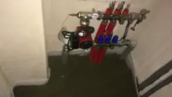 ������ ���� �������� 1 -��������� �� ����������� ����� ������ ���� 11