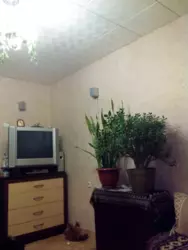 ������ �������� ���� 6
