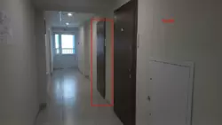 ������ ������ �����-�������� ���� 11