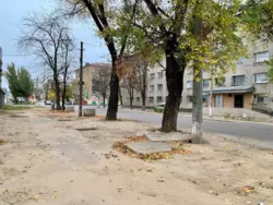 �������� � ������� � �������� ���� 1