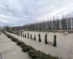 ������ 1���� �������� ���� 6