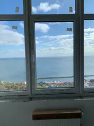 ��������� �������� ��������� 48, 48, �����, �������, �����������, (3 �������) ������� ���� 2