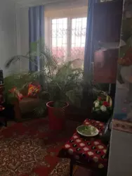 ������ 3-������� �������� ���� 10