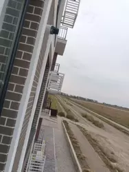 ������ �������� � ��������� �����-���� ���� 8