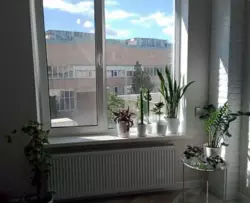 ������ 1���� �������� ���� 7