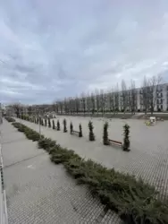 �������� 1� �������� �� ���������� ���� 6
