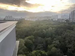 �� �������� 12 ���� ���� 14