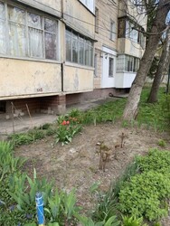 1� �������� / ����������� ���� 7