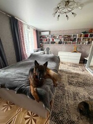 3� �� ������� ��� ����� ���� 4