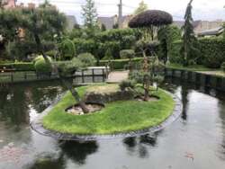 ��������� �������� ���������� ���������, ����-�������������, ������� ���� 2