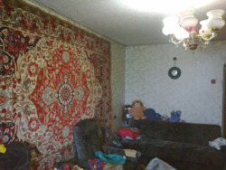 !  2-.. 502 .ʳ... ..  5