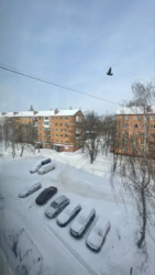 ��������� �������� ���� 6